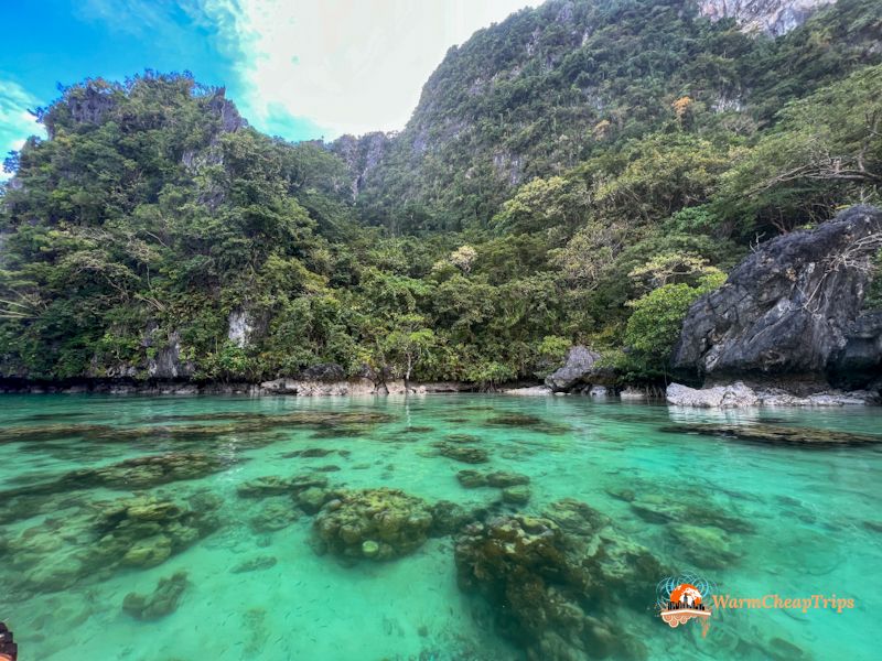 Palawan
